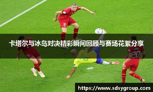 卡塔尔与冰岛对决精彩瞬间回顾与赛场花絮分享