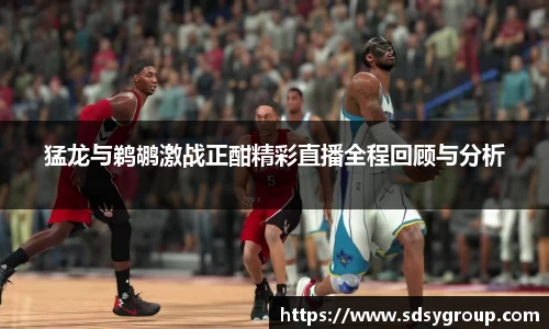 猛龙与鹈鹕激战正酣精彩直播全程回顾与分析